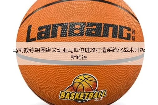 img_1782307331923_1474_1_411.jpg