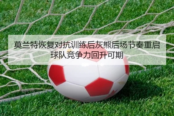 莫兰特恢复对抗训练后灰熊后场节奏重启球队竞争力回升可期